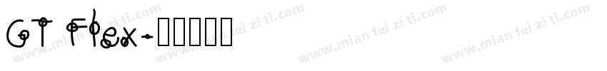 GT Flex字体转换